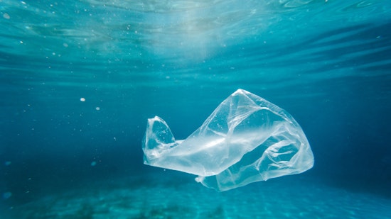 plastic bag in the ocean