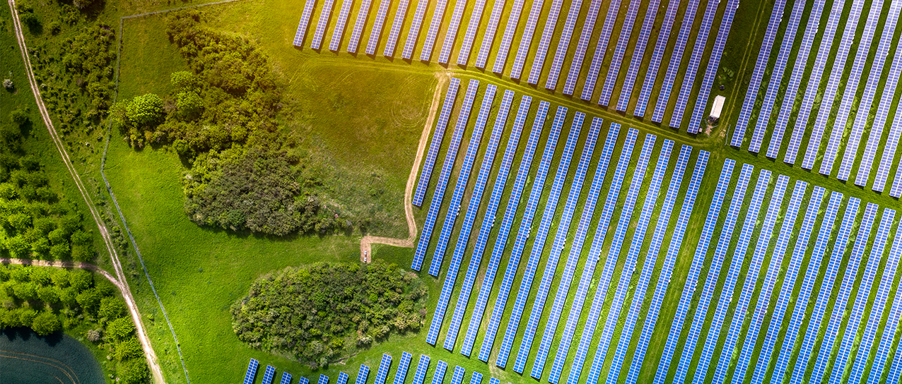 Ground mounted solar panels against a vast green field 