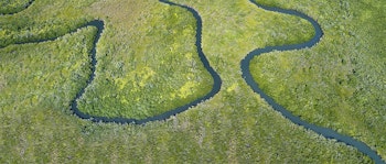 birds eye view of marshlands