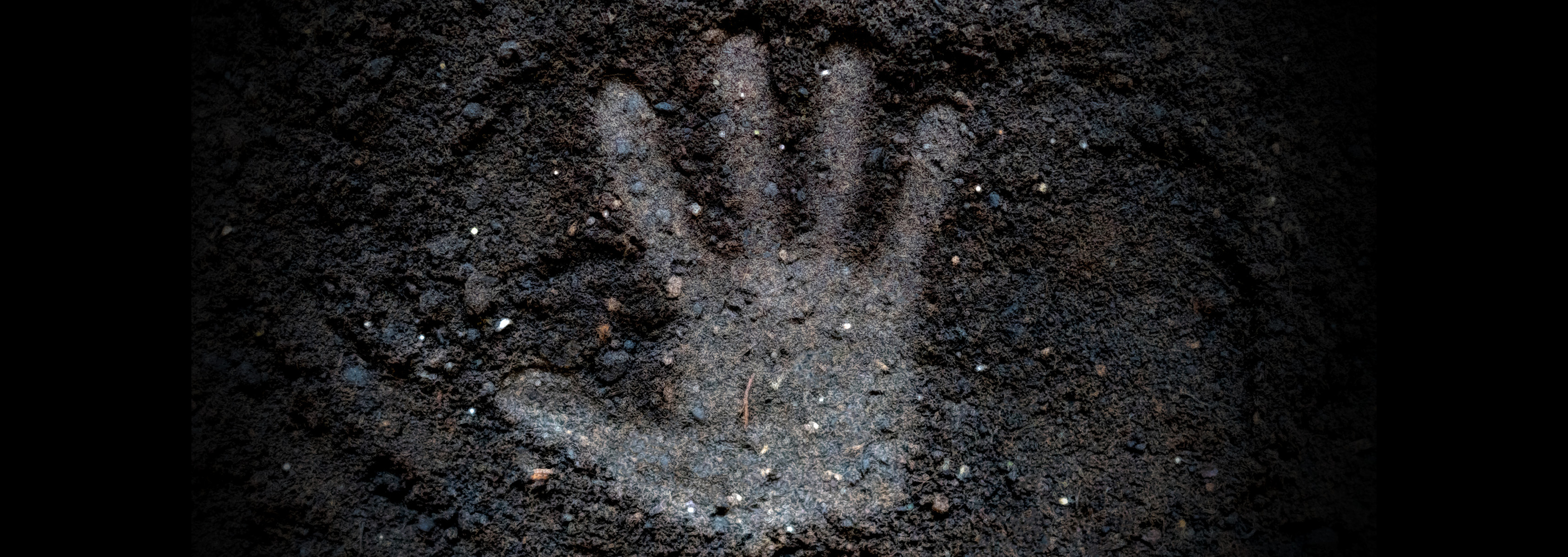 Image of a hand print in soil. 