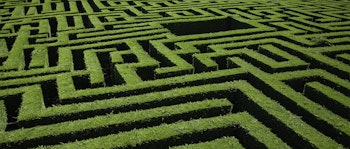 maze made of hedges