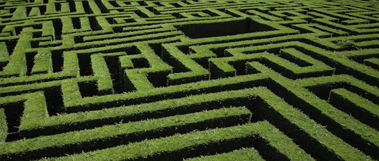 maze made of hedges